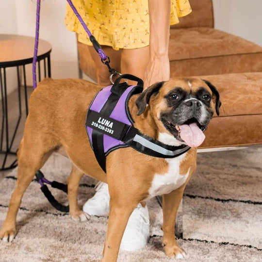 The Original TrueHarness™ - Personalized No-Pull Dog Harness