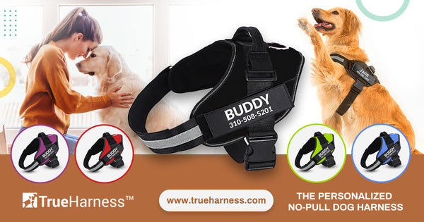 TrueHarness™ - The Personalized No-Pull Dog Harness