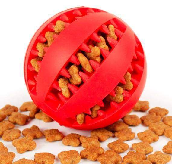 IQ Interactive Dog Treat Ball