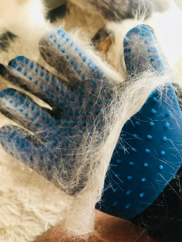 TrueGlove™️ - Pet Grooming Glove