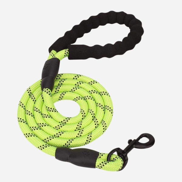 DoggoLeash™ - Match It With Your TrueHarness