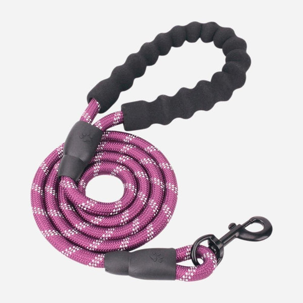 DoggoLeash™ - Match It With Your TrueHarness
