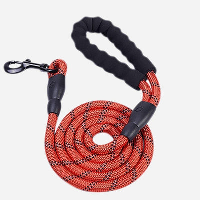 DoggoLeash™ - Match It With Your TrueHarness