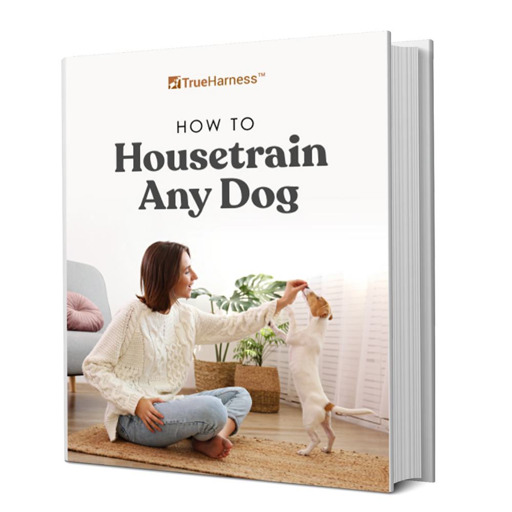 How To Housetrain Any Dog (eBook - Instant Access)