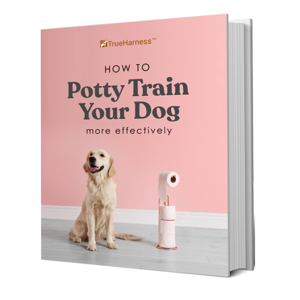How To Potty Train Your Dog (Ebook - Instant Access)