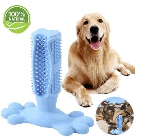 CleanChewy™